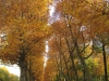Autumn at Cinquantenaire