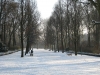 Wintertime Cinquantenaire